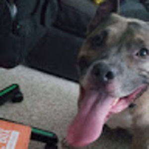 Meet your Posher, Glenna